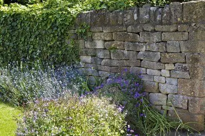 a garden wall with flowers in front of it
