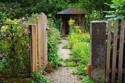 a small picturesque garden