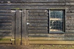 a wooden shed door and shed window