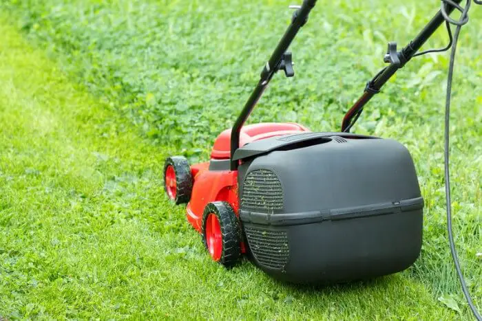 The 7 Best Quiet Lawn Mowers: Electric & Gas