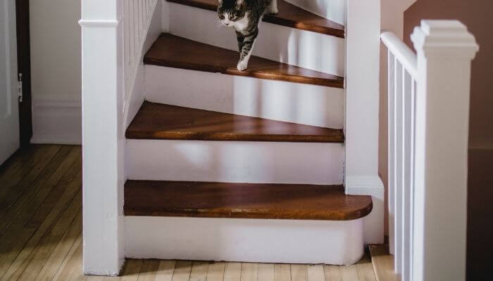 How To Make Stairs Quieter: 5 Methods